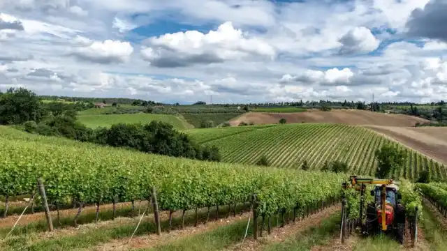 Anastasia Vecchiarelli è la nuova presidente regionale della Cia Agricoltori Italiani Toscana