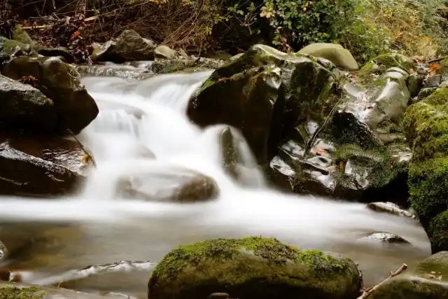 Bando per la cooperazione sociale in Toscana