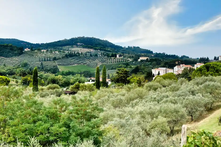 Checklist: cosa sapere prima di partire