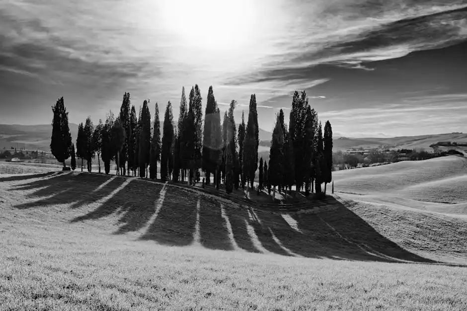 Perché visitare la Toscana durante le Giornate Fai