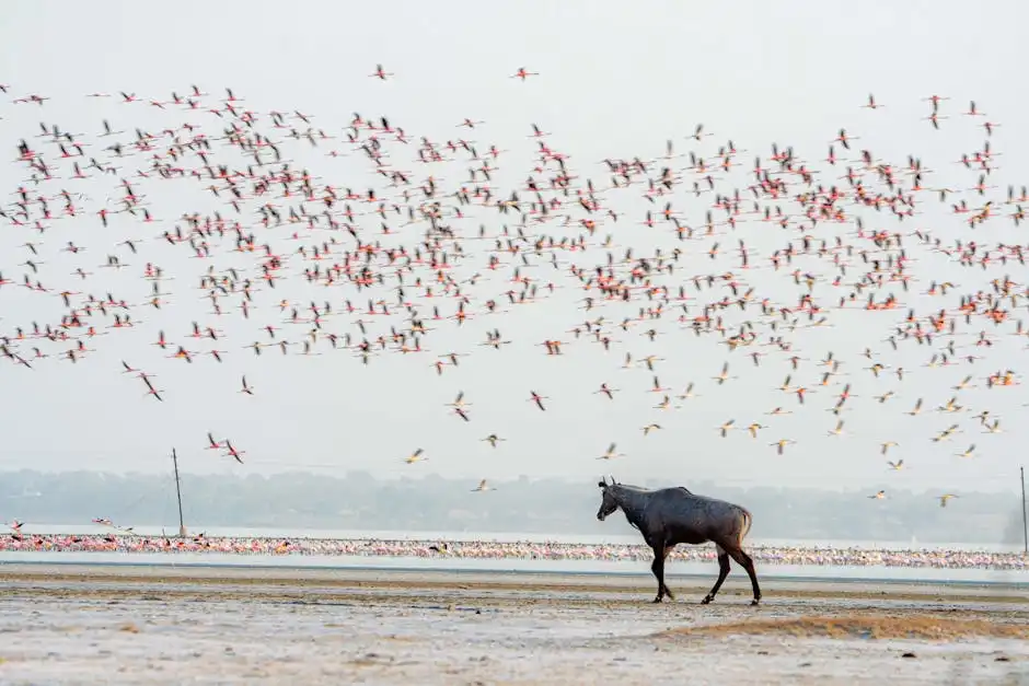 Impatto sulla comunità locale