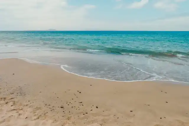 Versilia: avventure sottomarine tra pesci e fondali incantevoli