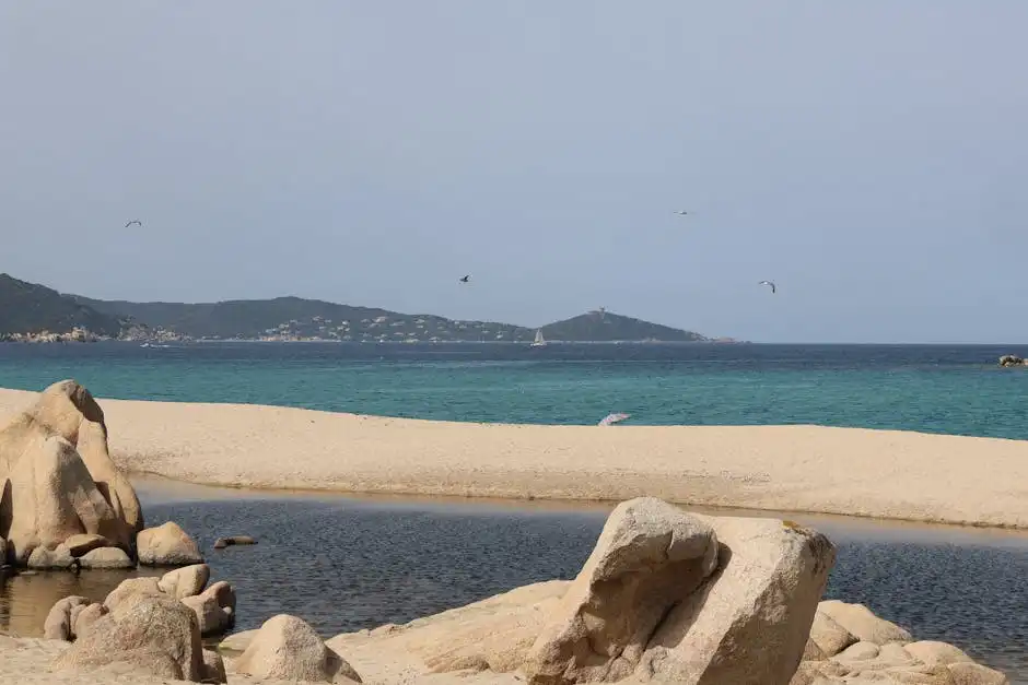 Le scuole di immersione