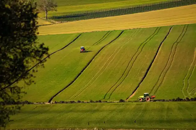 Versilia: dove il mare incontra le tradizioni locali