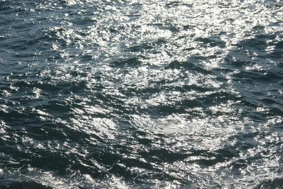 Mercatini Estivi a Pietrasanta