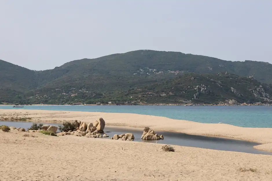 Gastronomia e tradizioni locali