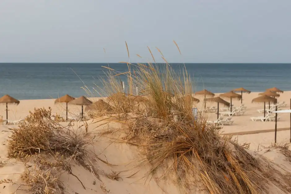 Gastronomia locale: sapori della Versilia