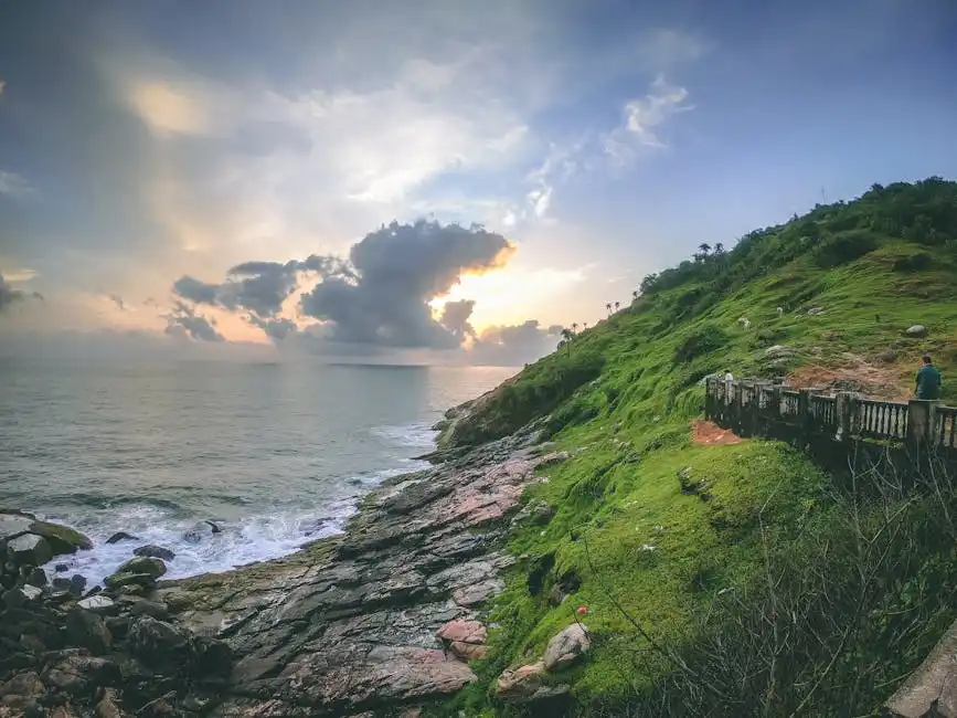 Concerti e Festival Musicali