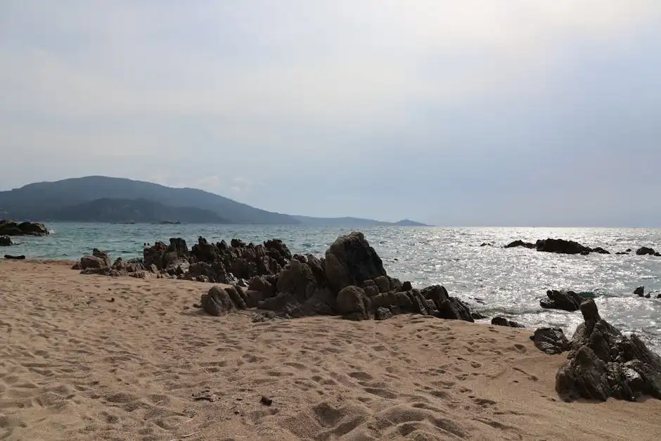 Shopping e mercati locali