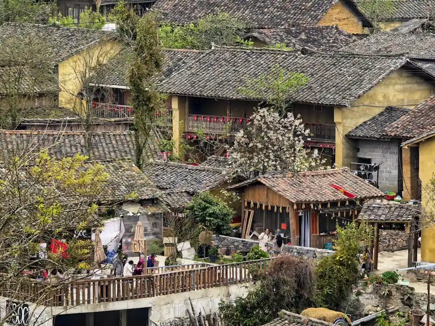 Eventi e festival locali