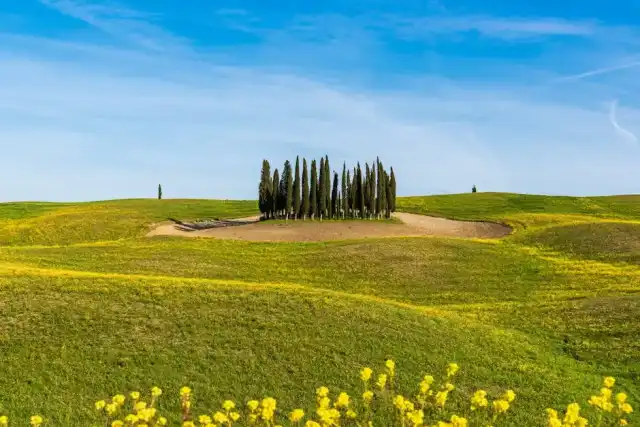 Versilia: un weekend tra sapori e tradizioni delle sagre locali