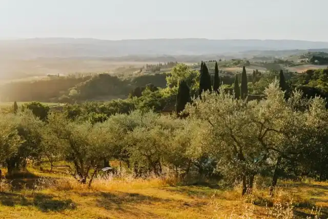 Votazione Forchettiere Awards Toscana 2026